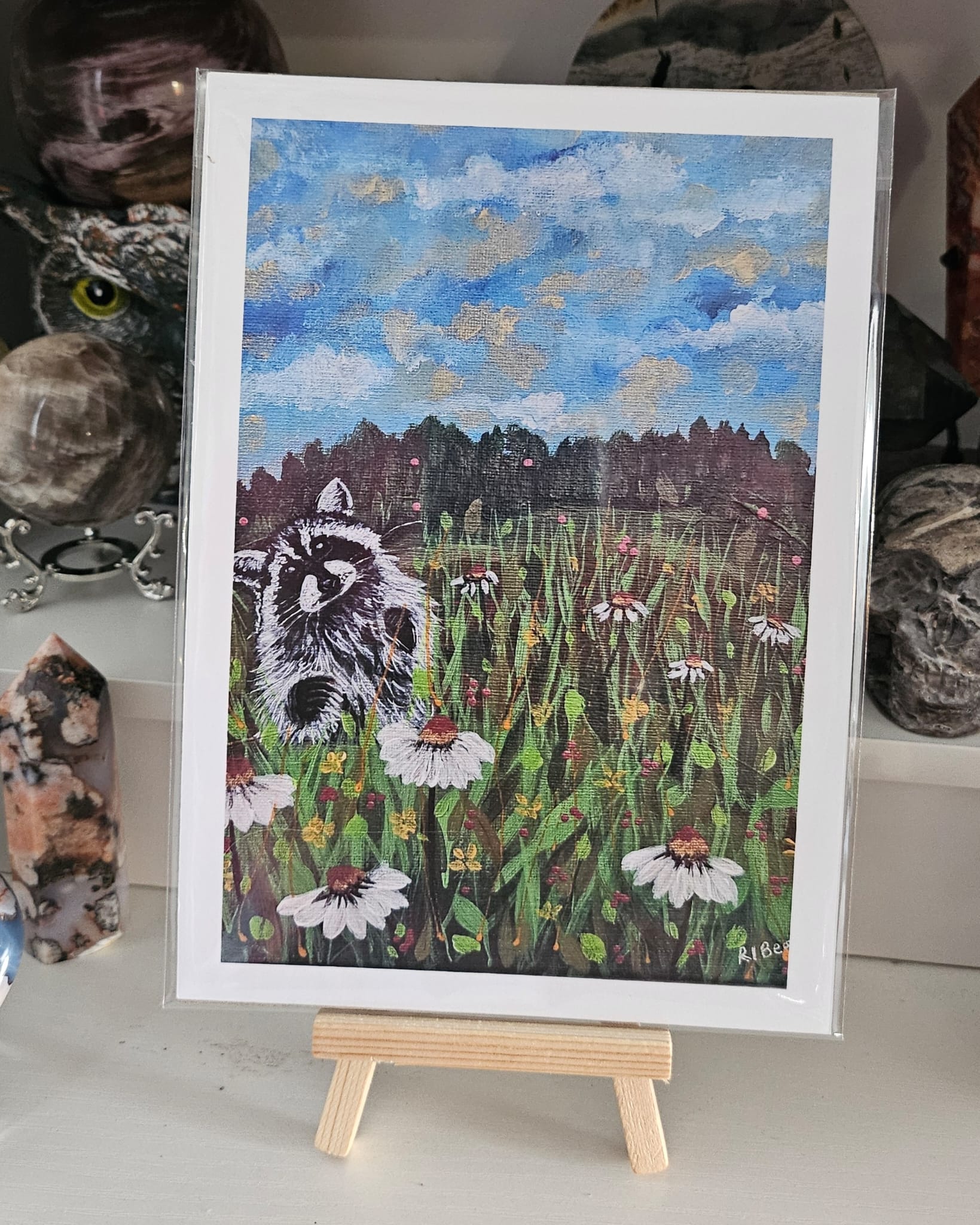 Raccoon in the Wildflowers