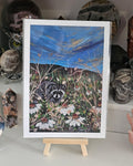 Raccoon Among the Daisies