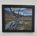 Deer on the Fells