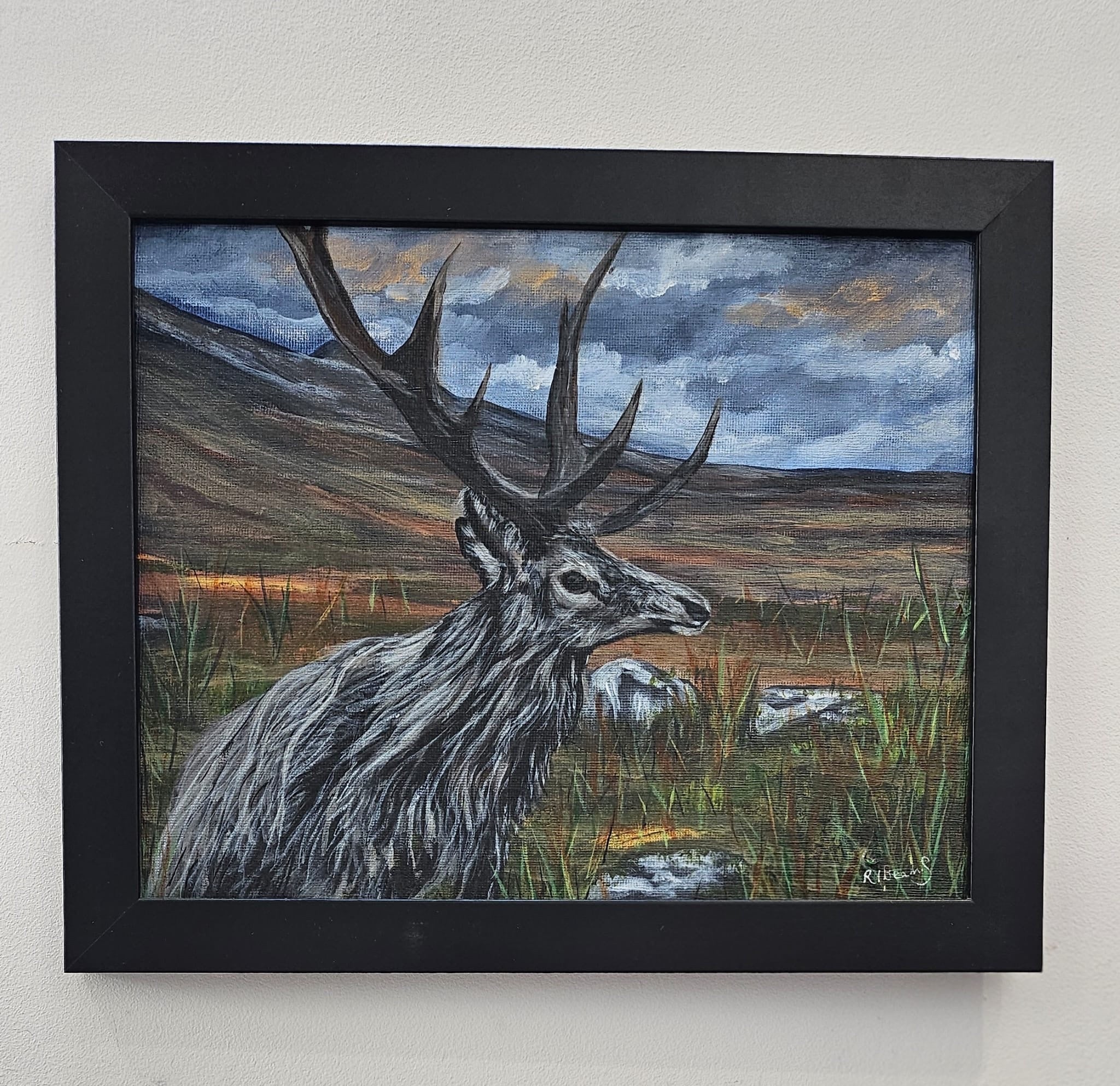 Deer on the Fells