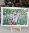 Fox in the Bluebells