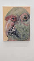 Parrot Portrait Acrylic Painting