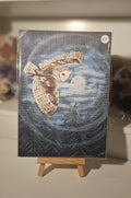 The Owl of the Threshold