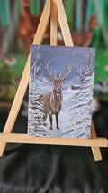 The Winter Guardian Greeting Card