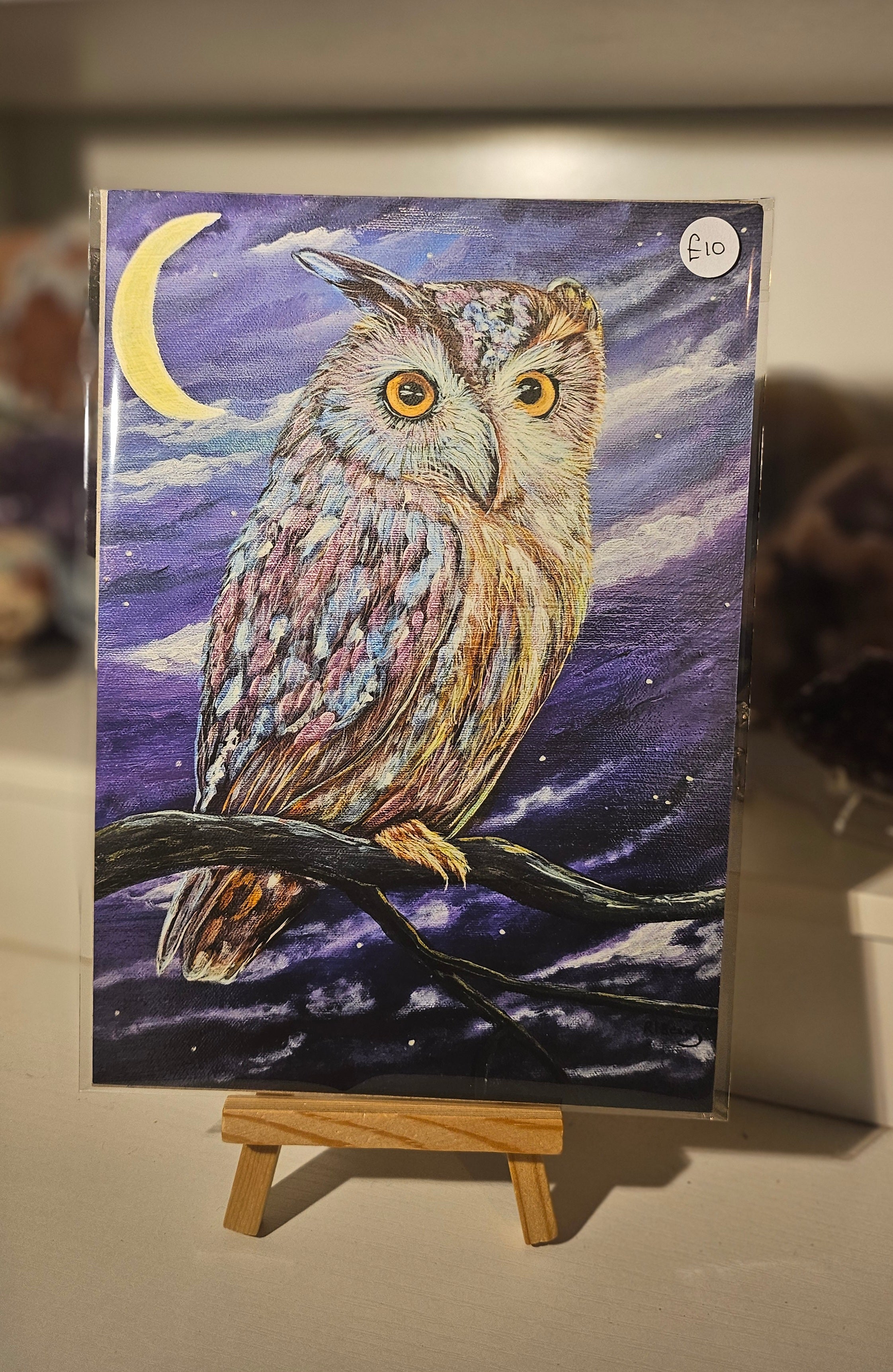The Owl Beneath the Crescent Moon