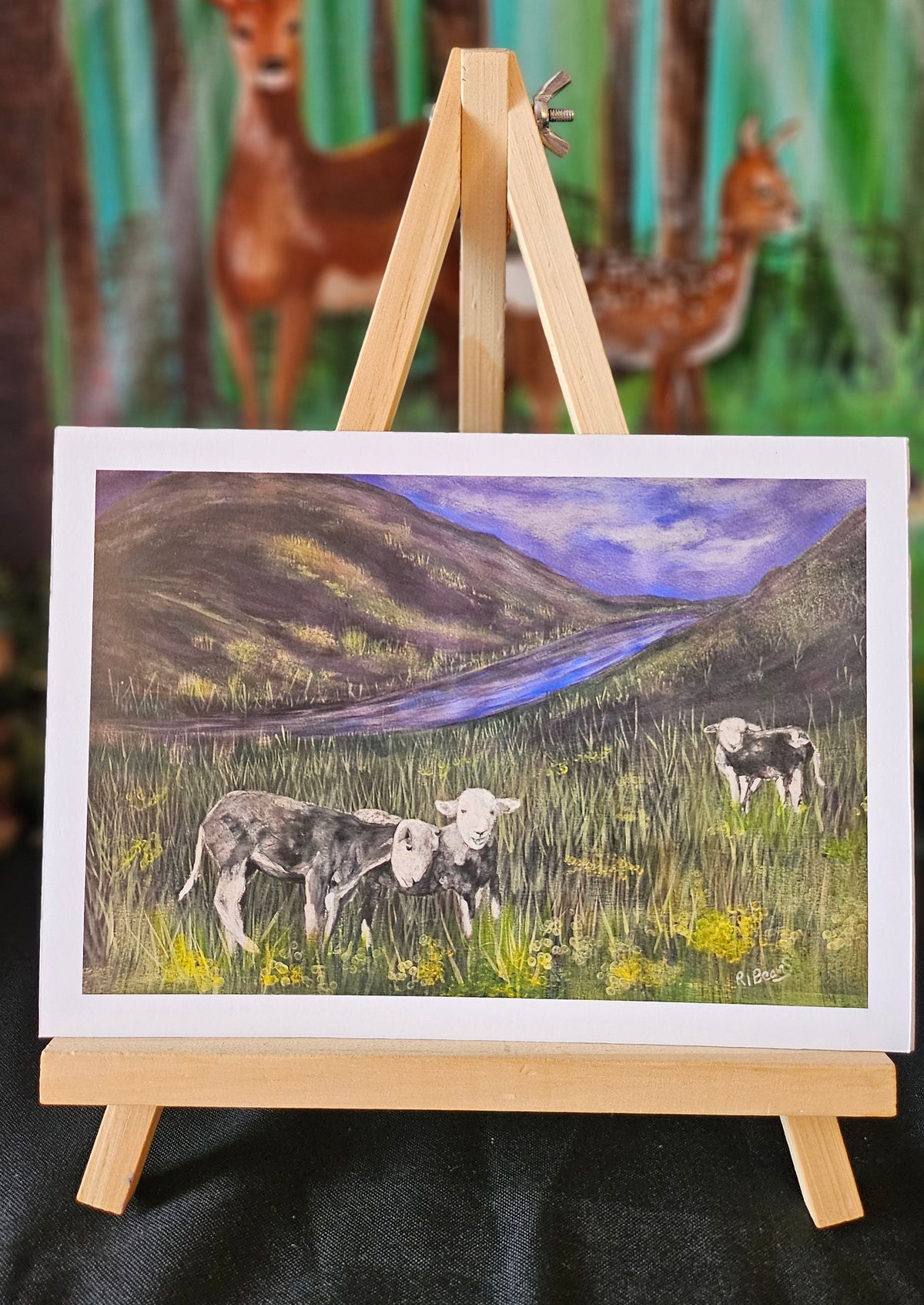 Herdwick Sheep A5 Print