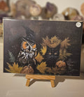 Owl and Black Cat
